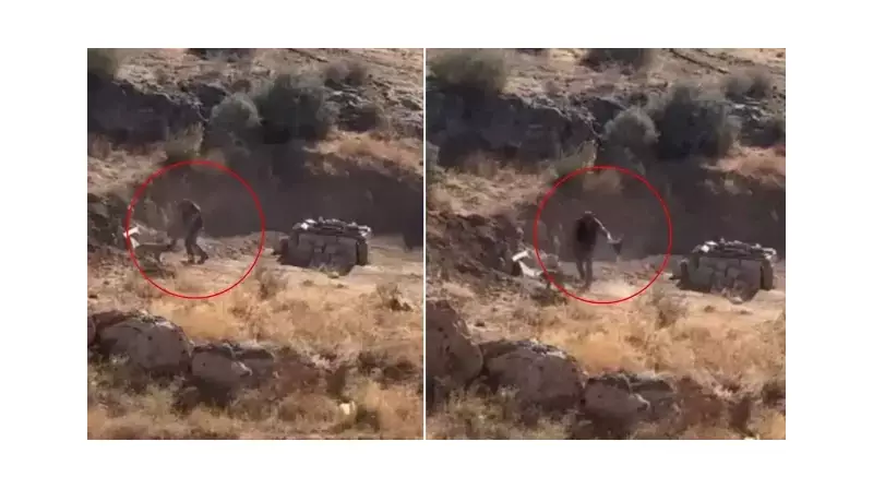 İzmir'de Yürekleri Sızlatan Vahşet: 4 Aylık Yavru Köpeğe İşkence Yapan Zanlı Yakayı Ele Verdi!