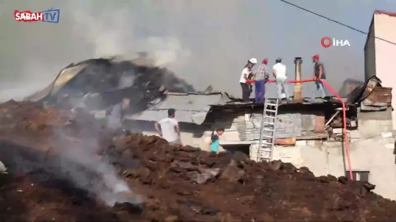 İzmir'deki Yangın Faciasında Bir Kahraman Doğdu: Alevlerden Kurtardığı Kediye Can Suyu Verdi!