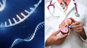 Böbrek Yetmezliğine Çare Olacak Devrim: MikroRNA İle Tedavi Yolu Açıldı!