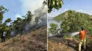 Bingöl'de Orman Yangını: Alevlerle Mücadele Tüm Hızıyla Devam Ediyor!