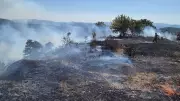 Bursa'nın Ciğerini Yakan Orman Yangını Son Anda Kontrol Altına Alındı!