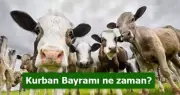 Kurban Bayramı Tatili Kaç Gün? 2016'da 9 Günlük Fırsat!