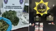 Niğde'de Uyuşturucu Operasyonu: 13 Şüpheli Gözaltında!