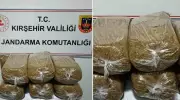 Otobüs Kontrolünde Şok Edici Keşif: 42 Kilo Kaçak Tütün Ele Geçirildi!