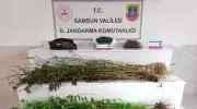 Samsun'da Gece Yarısı Baskını! Uyuşturucu Operasyonunda Kritik Tutuklamalar