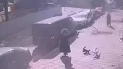 İstanbul Sultangazi'de Yürüyüş Yapan Kadına ve Köpeğine Kedinin Aniden Saldırdığı Anlar Kameralara Yakalandı!