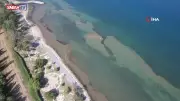 Yalova Sahillerinde Su Çekildi: Deniz 5 Metre Geri Çekildi, Görenler Şaşkın!