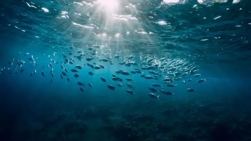 190 Milyon Yıllık Dev 'Ejderha' Fosili Şoke Etti! Bilim Dünyasını Sarsan Keşif