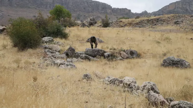 Adıyaman'da Tarihi Keşif: Roma Dönemine Ait Kayıp Yerleşim Yeri Gün Yüzüne Çıktı!