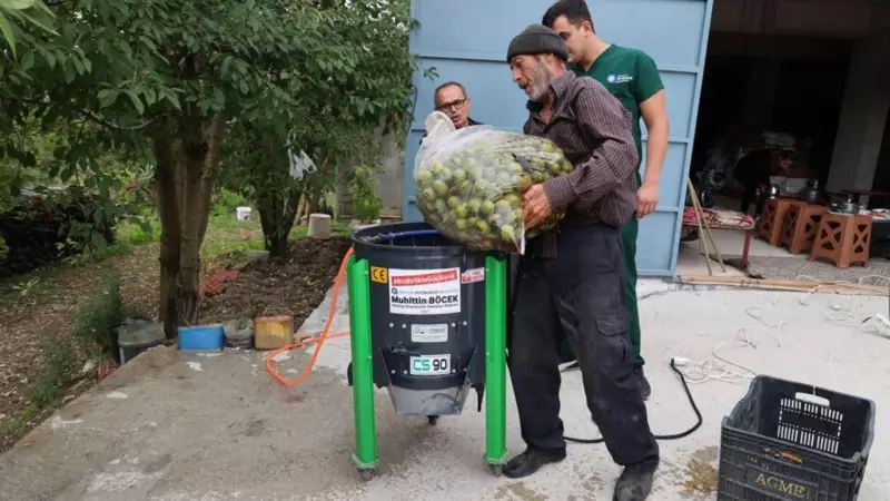 Antalya'da Ceviz Üreticilerine Müjde! Ceviz Soyma Makinesi Desteği Başvuruları Başladı