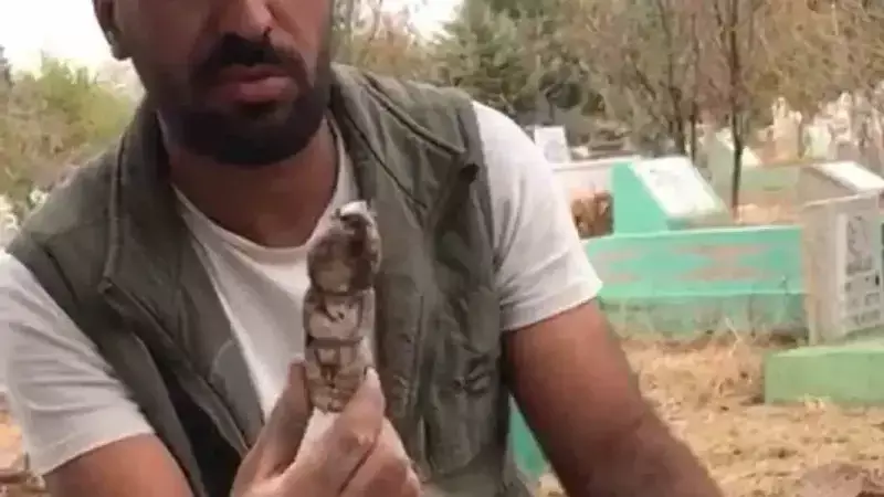 Arkeolojik Şok: Kayseri'deki Kazıda Kefenli Oyuncak Bebek Bulundu!