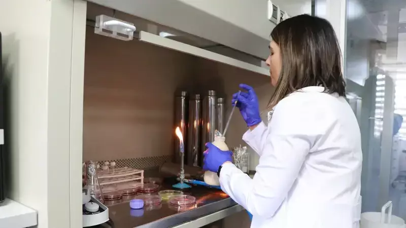 Artık Gıdaların Bozulduğunu Rengi Söyleyecek! Devrim Niteliğindeki Ambalaj Tescil Edildi