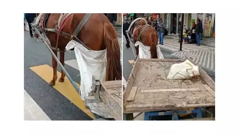 At Arabasıyla Trafiğe Çıktı, Cebinden 993 Lira Gitti! Denetimde Yakayı Ele Verdi