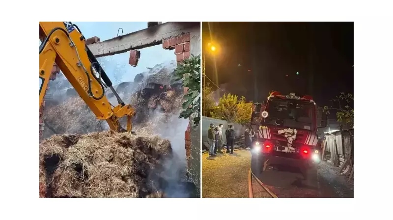 Çatalca'da Samanlık Yangını Ev ve Ahıra Sıçradı! 4 Hayvan Can Verdi
