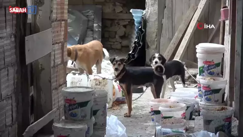 Bahçe Savaşları: Kiracı ile Ev Sahibi Arasındaki Çöp Krizi Kameralara Böyle Yansıdı!