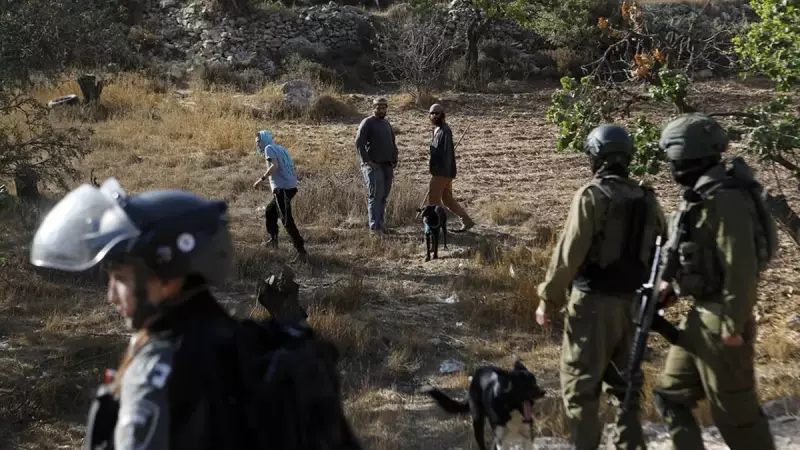 Batı Şeria'da Tarım Yasağı: İşgalci İsrail'in Çiftçilere İnsanlık Dışı Ambargosu