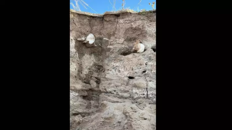 Boğazlıyan'da Bulunan Kemikler Gizemini Koruyor: Adli Tıp Devreye Girdi!