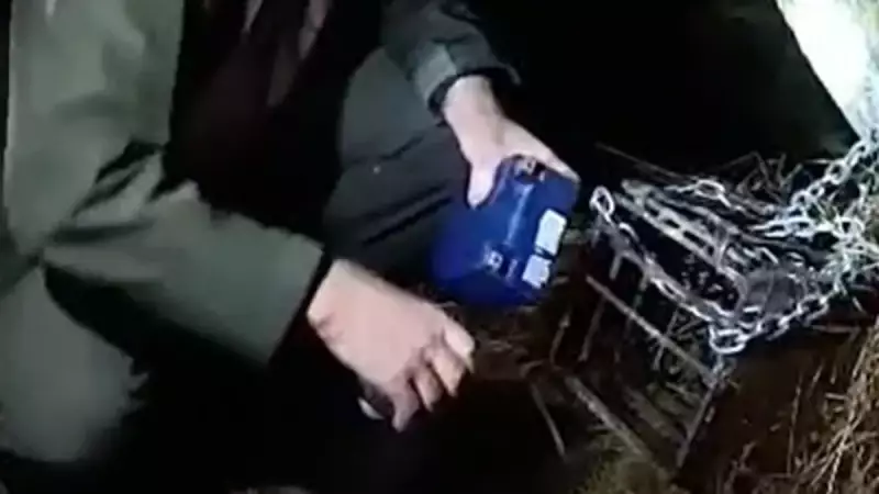 Bursa'da Vahşi Doğaya Kumpas! Kaçak Avcıların Tuzakları Tek Tek Deşifre Edildi