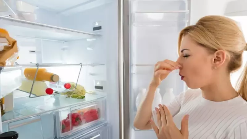 Buzdolabındaki İnatçı Kokulara Son! Bu Doğal Yöntem Her Şeye Taş Çıkarıyor