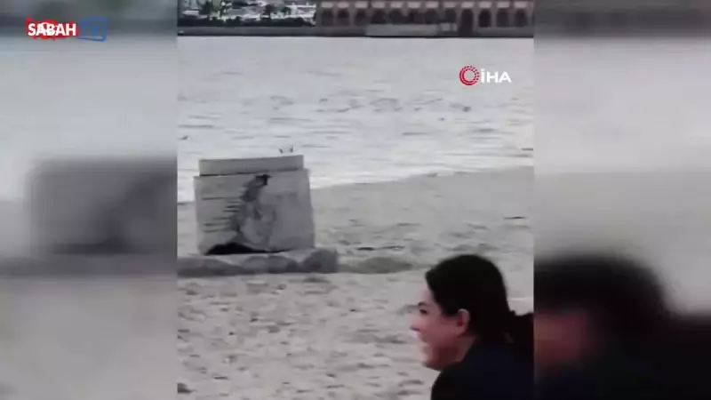 Büyükçekmece'de Kapkaççı Köpek! Güvenlik Kamerası Akıl Almaz Anları Görüntüledi