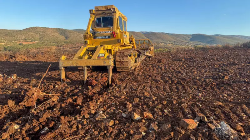 Denizli ve Uşak'ta 20 Yılda 306 Milyon Fidan Toprakla Buluştu: Nefes Alan Bir Gelecek İçin Dev Adım!