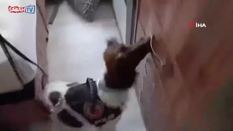 Denizli'de Dev Uyuşturucu Operasyonu: Tam 19 Bin Doz Sentetik Hapla Büyük Darbe!