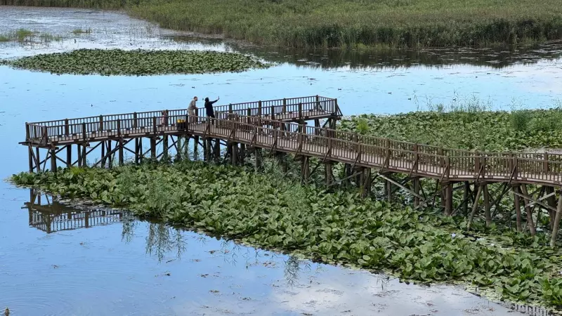 Düzce: Batı Karadeniz'in Saklı Kalmış Cennetini Keşfedin!