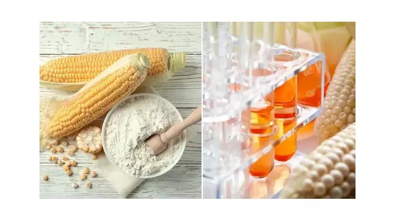 Şeker Değil, Zehir Tüketiyoruz: Gıdalarımıza Neden Nişasta Koyuluyor?