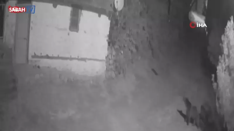 Erzincan'da Şehir Merkezine İnen Ayılar Görüntülendi: 'Doğa Bize Ne Anlatmak İstiyor?'