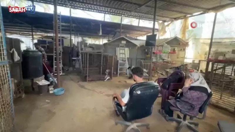 Gazze'deki Hayvanat Bahçesi Mucizesi: Bombaların Gölgesinde Bir Yaşam Sığınağı