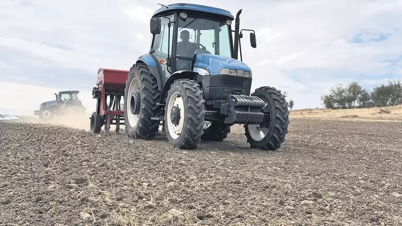 Kanola Ekimi Çiftçiye Can Suyu Oldu: Gelirler Katlandı!