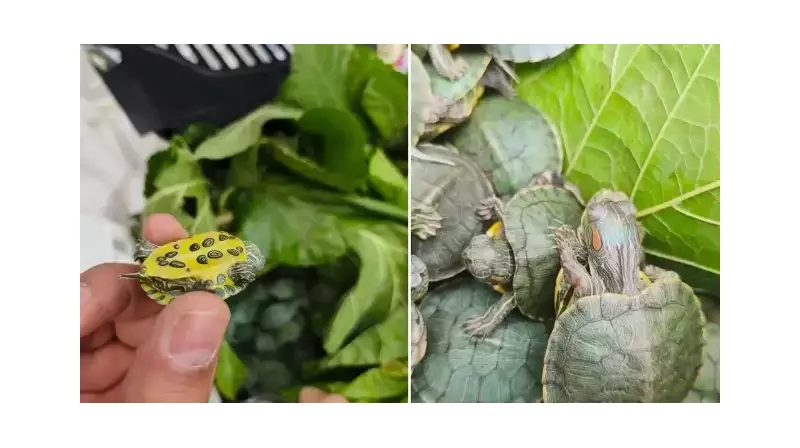 Kapıda Şok! Türkiye'ye Girişi Yasak Otobüste Yakalanan Yolcuların İnanılmaz Hikayesi