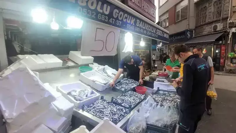Karadeniz Hamsisi Bolluğu: Tezgahlar Şenlendi, Fiyatlar 50 Liraya Geriledi!