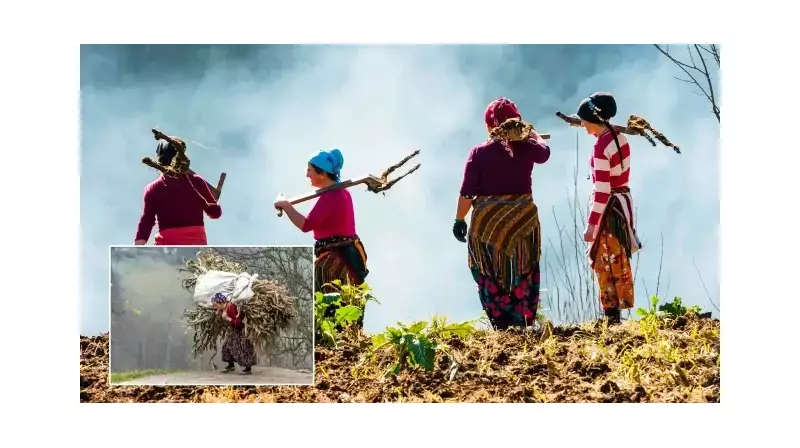 Karadeniz'in Nemli Havası Çiftçiler İçin Gizli Bir Tehdit Mi? Uzmanlar Uyarıyor: 'Akciger Hastalıkları Kronikleşebilir'