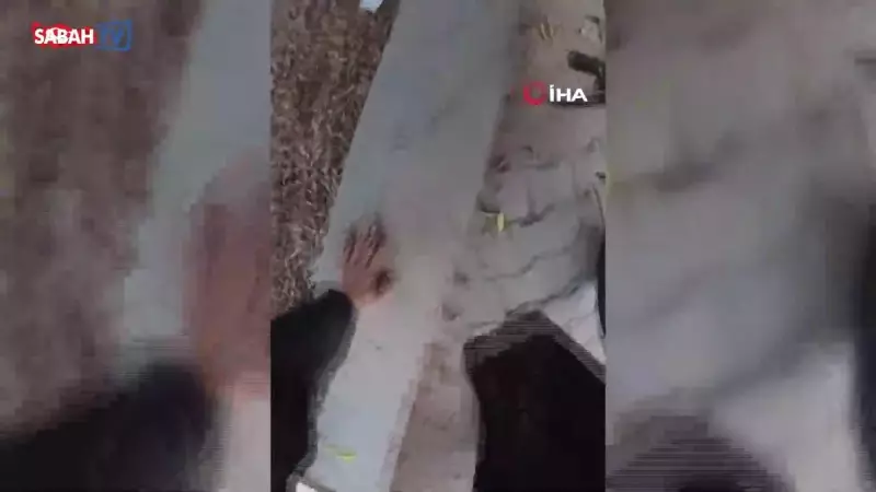 Korkunç Sokak Saldırısı: Motokurye Anlatıyor - 'Köpek Sürüsü Beni Parçalamak İstiyordu!'