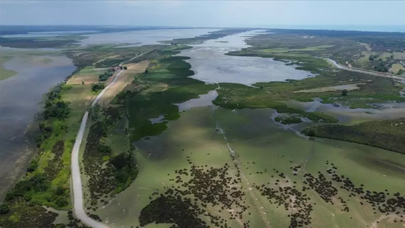 Kızılırmak'ın İzinde: Türkiye'nin En Uzun Nehri Hangi Şehirlerden Geçiyor?