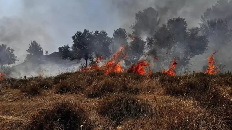 Lübnan Alev Alev: İsrail Saldırıları Ormanları Küle Çevirdi, Evler Yıkıldı!