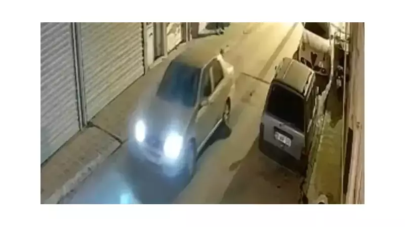 Muğla'da Acı Tablo: Otomobilin Altında Kalan Kirpi Can Verdi!