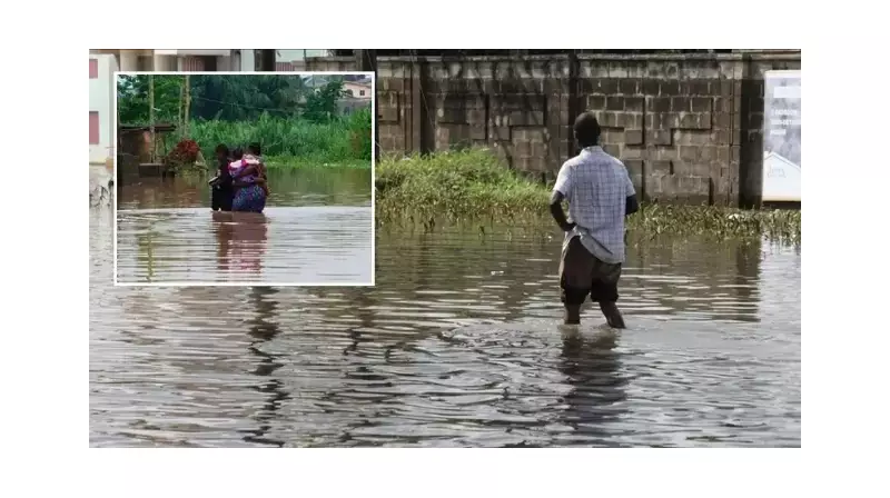 Nijerya'da Sel Felaketi: 236 Can Kaybı ve 90 Bin Kişi Evsiz Kaldı!