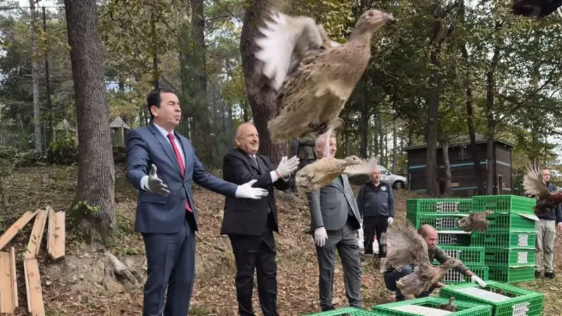 Ünye'de Görülen Kahverengi Kokarca İstilası! Çiftçiler Alarmda