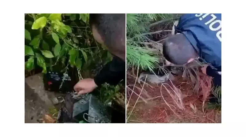 Ormana Tuzak Kuran Kaçak Avcılar Jandarmaya Takıldı!