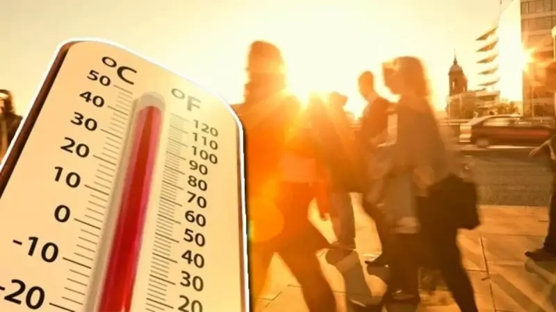 Pastırma Yazı Kapıda! Kış Soğukları Gelmeden Bu Güneşli Günlerin Tadını Çıkarın