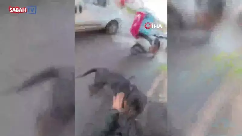 Rotweiler Dehşet Saçtı! Ağızlıksız Köpek Sokakta Korku Dolu Anlar Yaşattı