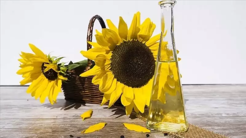 Rusya'dan Ayçiçek Yağına Şok Vergi! Türkiye'ye İhracatta Yeni Dönem Başlıyor