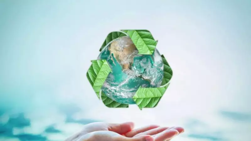 Sıfır Atık Devrimi: Türkiye'nin Ekonomi ve Çevre Hamlesi Başlıyor!