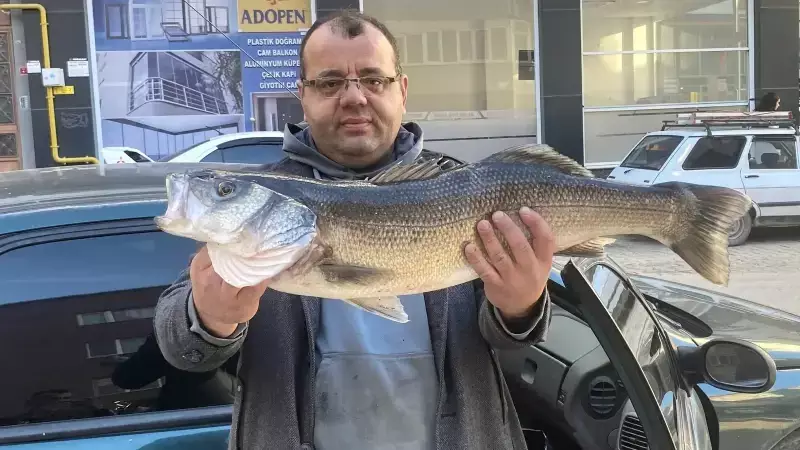Sinop'ta Amatör Balıkçıdan İnanılmaz Av! Oltayla Tam 6 Kiloluk Dev Levrek Yakaladı