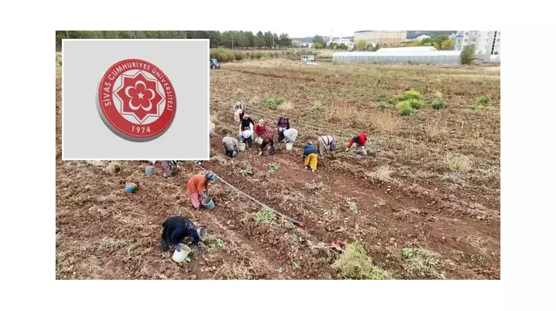 Sivas Cumhuriyet Üniversitesi'nde Devrim Gibi Uygulama: Hem Okuyacaklar Hem Üretecekler Hem de Kazanacaklar!