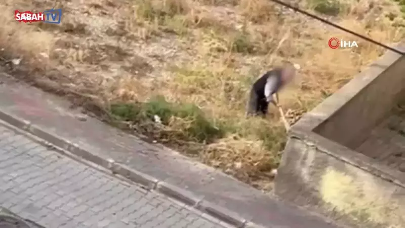 Sokak Ortasında Savunmasız Köpeğe Acımasızca Saldıran Kişi Gözaltında!