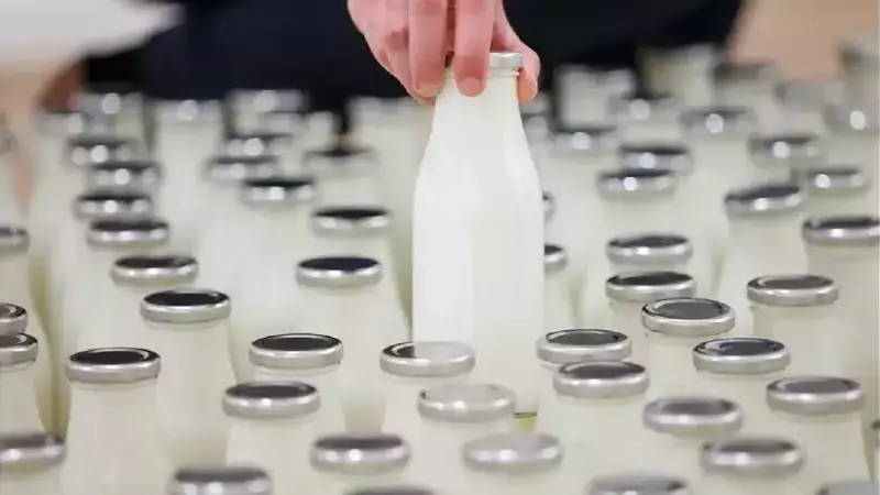 Süt Endüstrisinde Devrim: Katma Değerli Ürünler Patlaması Yaşanıyor!