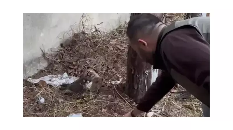 İstanbul'da Göz Kamaştıran Operasyon: 2 Gökdoğan Ele Geçirildi, Cezası 15 Milyon Lira!